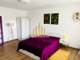 apartament-cu-1-camera-de-inchiriat-cetate-2