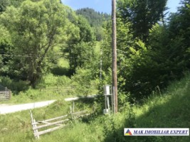 teren-intravilan-de-1-ha-de-vanzare-in-valea-cheii-dambovicioara-arges-4