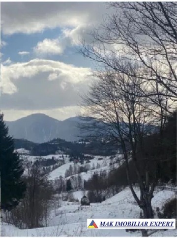 teren-intravilan-de-1-ha-de-vanzare-in-valea-cheii-dambovicioara-arges-13