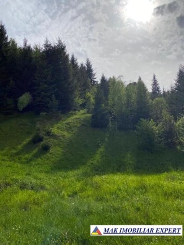 teren-intravilan-de-1-ha-de-vanzare-in-valea-cheii-dambovicioara-arges-6