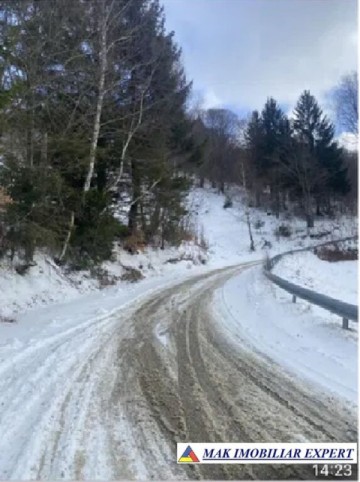 teren-intravilan-de-1-ha-de-vanzare-in-valea-cheii-dambovicioara-arges-14