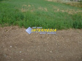 teren-intravilan-de-vanzare-500-mp-alba-micesti-2