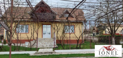 casa-de-vanzare-in-mihalt-cu-4211-mp-teren-12