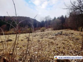 teren-5500-mp-intraextravilan-in-dragoslavele-arges-1