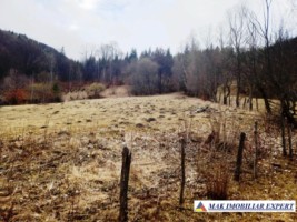 teren-5500-mp-intraextravilan-in-dragoslavele-arges-3