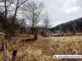 teren-5500-mp-intraextravilan-in-dragoslavele-arges-4