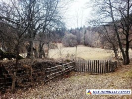 teren-5500-mp-intraextravilan-in-dragoslavele-arges-6