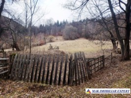 teren-5500-mp-intraextravilan-in-dragoslavele-arges-5