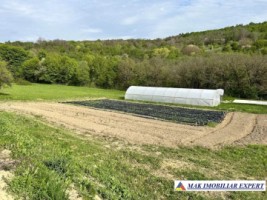 ferma-de-procesare-lapte-si-fructe-cu-teren-25-ha-in-valea-mare-pravat-arges-oportunitate-de-afacere-5