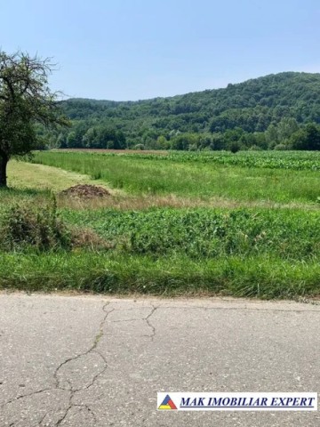teren-intravilan-4000-mp-de-vanzare-schitu-golesti-arges-pentru-proiecte-rezidentiale-sau-turistice