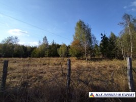 teren-de-vanzare-2430-mp-extravilan-in-marcus-campulung-muscel-arges-ideal-pentru-agricultura-3