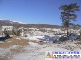 teren-extravilan-de-2-ha-cu-potential-de-exploatare-a-calcarului-situat-in-zona-mateias-valea-mare-pravat-arges-2