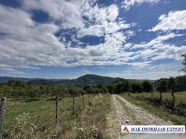 teren-extravilan-4137-mp-de-vanzare-in-bradulet-galesu-arges-ideal-pentru-activitati-agricole-sau-investitii