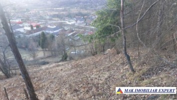 teren-intravilan-5000-mp-de-vanzare-in-bughea-de-sus-arges-ideal-pentru-dezvoltari-rezidentiale-sau-comerciale-5