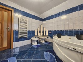 casa-individuala-de-inchiriat-cu-garaj-alba-micesti-13