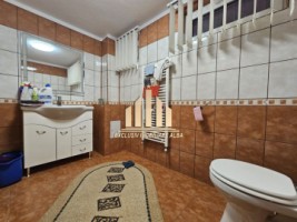 casa-individuala-de-inchiriat-cu-garaj-alba-micesti-20