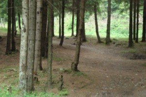 teren-la-munte-4005-mp-extravilan-leresti-oportunitate-ideala-pentru-investitii-in-natura-2