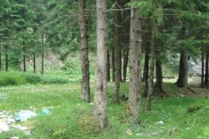 teren-la-munte-4005-mp-extravilan-leresti-oportunitate-ideala-pentru-investitii-in-natura-3