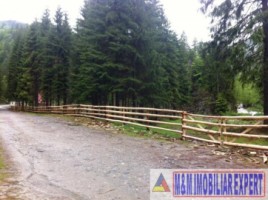 teren-la-munte-4005-mp-extravilan-leresti-oportunitate-ideala-pentru-investitii-in-natura-10