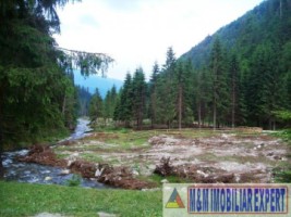 teren-la-munte-4005-mp-extravilan-leresti-oportunitate-ideala-pentru-investitii-in-natura-8