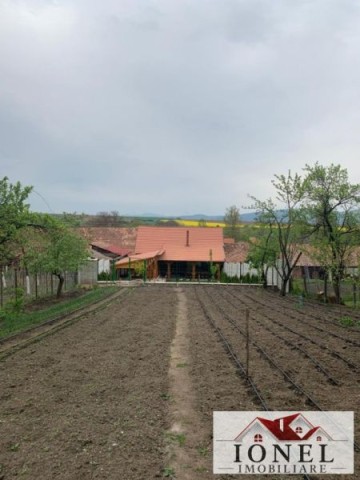 vanzare-casa-cu-5056-mp-teren-in-salistea-14