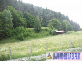 teren-intravilan-115-ha-valea-poienii-leresti-arges-ideal-pentru-dezvoltare-rezidentiala-sau-recreativa