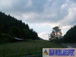 teren-intravilan-115-ha-valea-poienii-leresti-arges-ideal-pentru-dezvoltare-rezidentiala-sau-recreativa-1