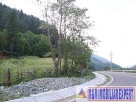 teren-intravilan-115-ha-valea-poienii-leresti-arges-ideal-pentru-dezvoltare-rezidentiala-sau-recreativa-2