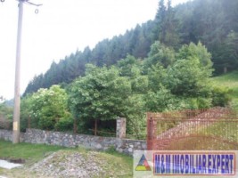 teren-intravilan-115-ha-valea-poienii-leresti-arges-ideal-pentru-dezvoltare-rezidentiala-sau-recreativa-4