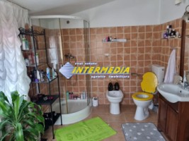 casa-pe-de-vanzare-recent-renovata-in-centru-cu-680-mp-teren-33