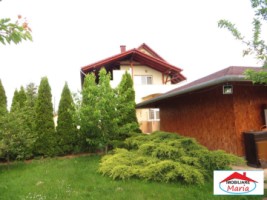 casa-in-viile-satu-mare-id-21725-2