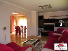 casa-in-viile-satu-mare-id-21725-4