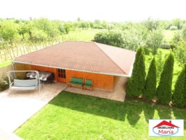 casa-in-viile-satu-mare-id-21725-6