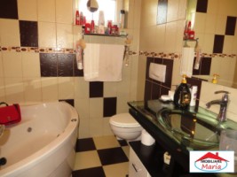 casa-in-viile-satu-mare-id-21725-9