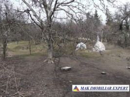 casa-stil-5-camere-teren-8000-mp-campulung-33