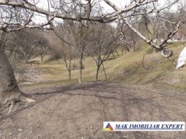 casa-stil-5-camere-teren-8000-mp-campulung-34