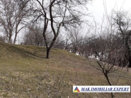 casa-stil-5-camere-teren-8000-mp-campulung-35