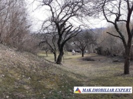 casa-stil-5-camere-teren-8000-mp-campulung-36