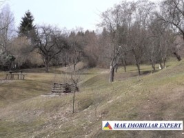 casa-stil-5-camere-teren-8000-mp-campulung-37