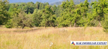 teren-244-ha-intravilan-de-vanzare-in-bughea-de-sus-arges-2
