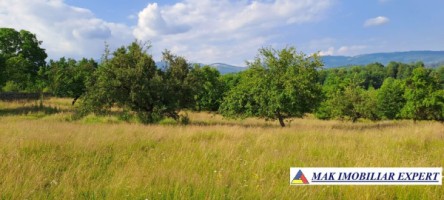 teren-244-ha-intravilan-de-vanzare-in-bughea-de-sus-arges-4