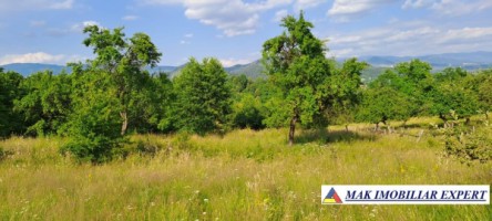 teren-244-ha-intravilan-de-vanzare-in-bughea-de-sus-arges-5