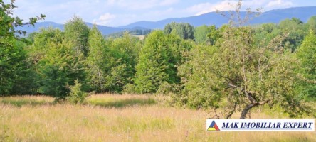 teren-244-ha-intravilan-de-vanzare-in-bughea-de-sus-arges-6