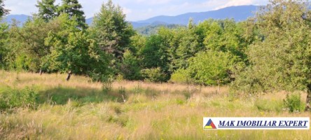 teren-244-ha-intravilan-de-vanzare-in-bughea-de-sus-arges-7