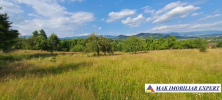 teren-244-ha-intravilan-de-vanzare-in-bughea-de-sus-arges-8