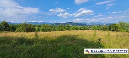 teren-244-ha-intravilan-de-vanzare-in-bughea-de-sus-arges-9