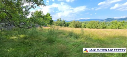 teren-244-ha-intravilan-de-vanzare-in-bughea-de-sus-arges-11