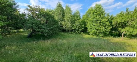 teren-244-ha-intravilan-de-vanzare-in-bughea-de-sus-arges-12