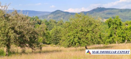 teren-244-ha-intravilan-de-vanzare-in-bughea-de-sus-arges-13