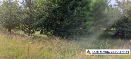 teren-244-ha-intravilan-de-vanzare-in-bughea-de-sus-arges-15